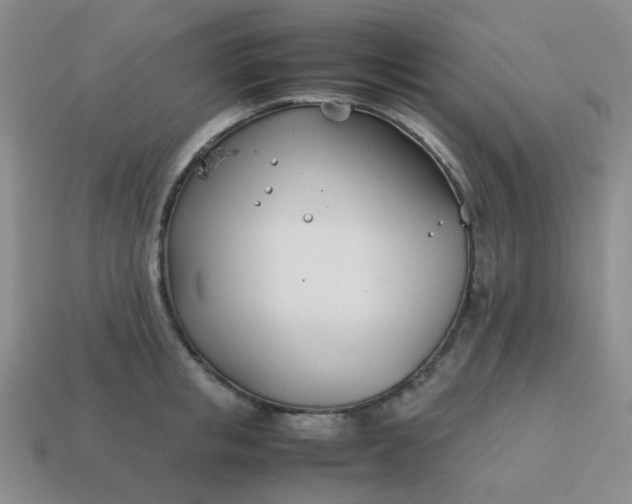 X0000114140853200910221523