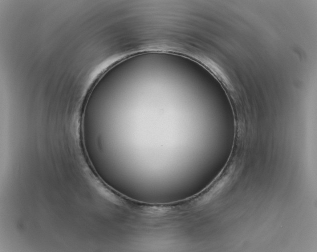 X0000114140854200910221523