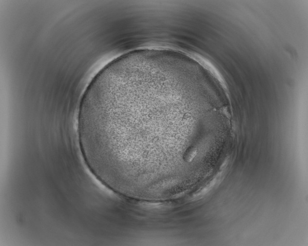 X0000114140855200910221523