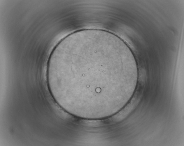 X0000114140856200910221523