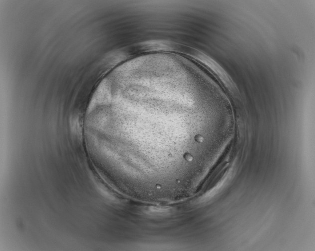 X0000114140857200910221523