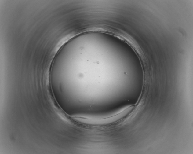 X0000114140858200910221523