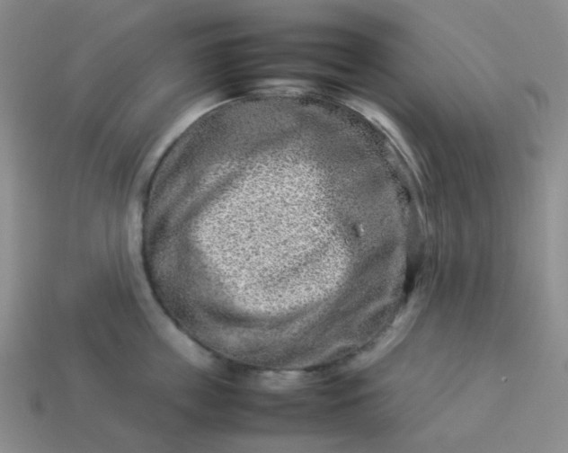 X0000114140859200910221523