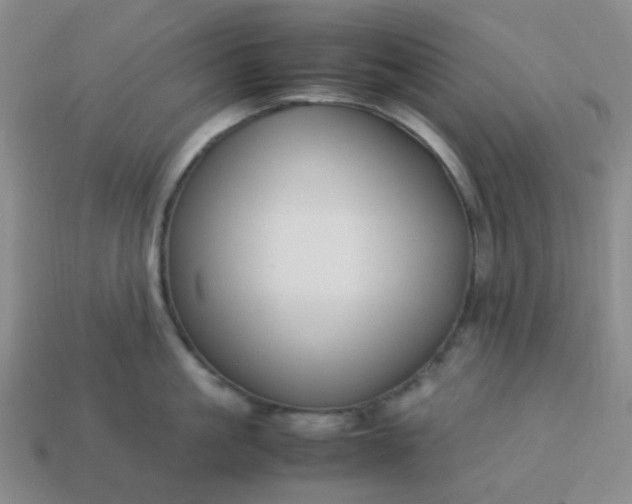 X0000114140861200910221523