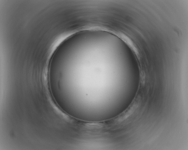 X0000114140863200910221524