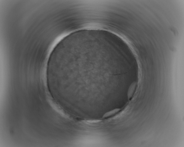 X0000114140864200910221524