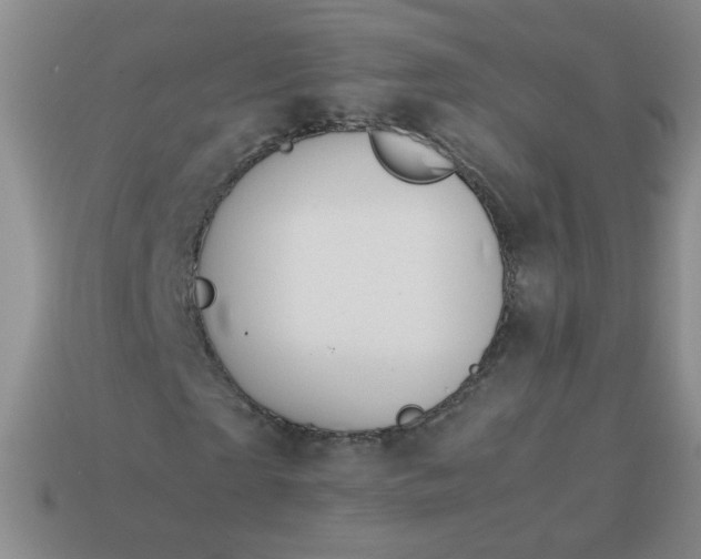 X0000114140865200910221523