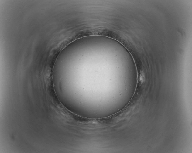 X0000114140867200910221523