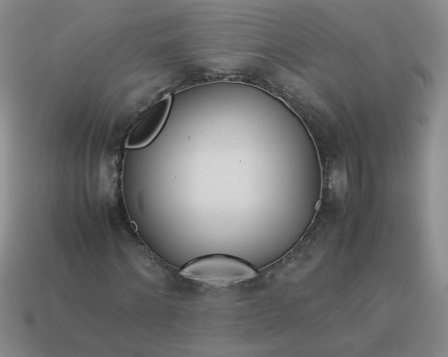 X0000114140868200910221523