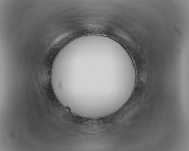 X0000114140869200910221523