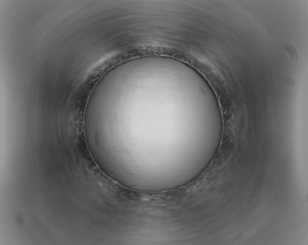 X0000114140870200910221523