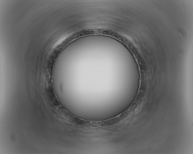 X0000114140871200910221523