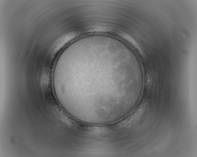 X0000114140874200910221523