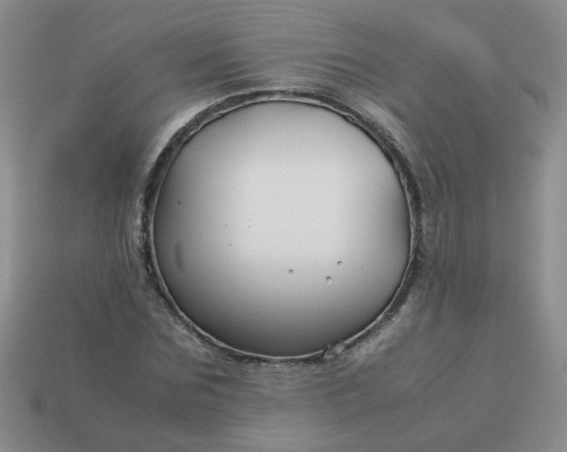 X0000114140875200910221523