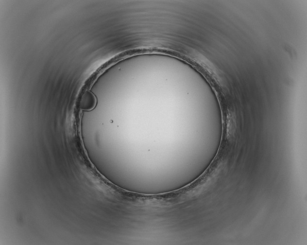 X0000114140876200910221523