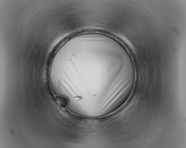 X0000114140878200910221523