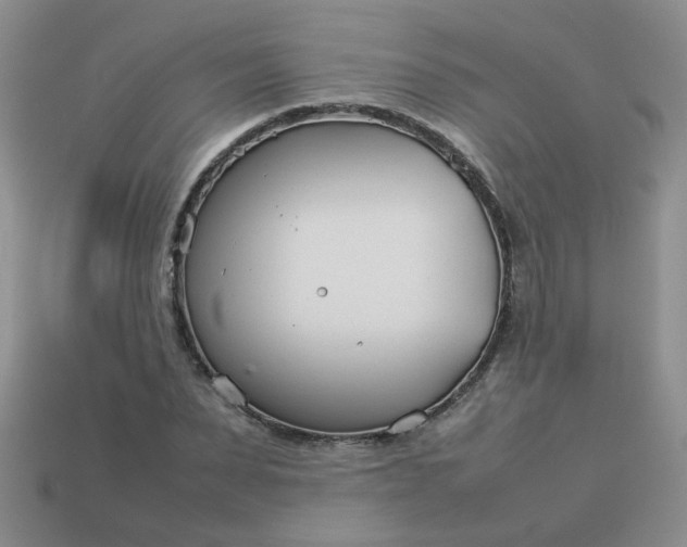 X0000114140879200910221523