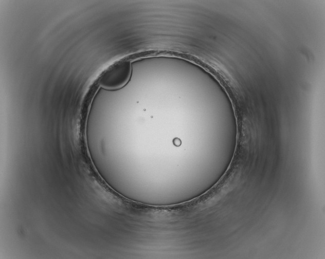 X0000114140880200910221523