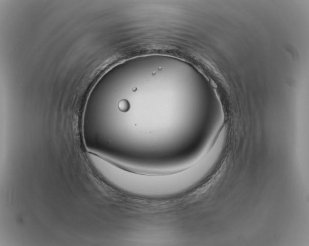 X0000114140881200910221523