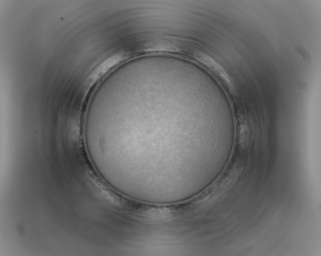 X0000114140882200910221523