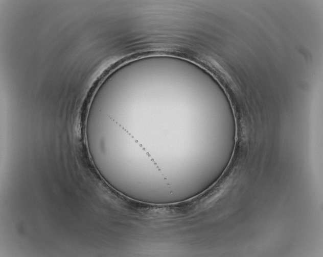 X0000114140883200910221523