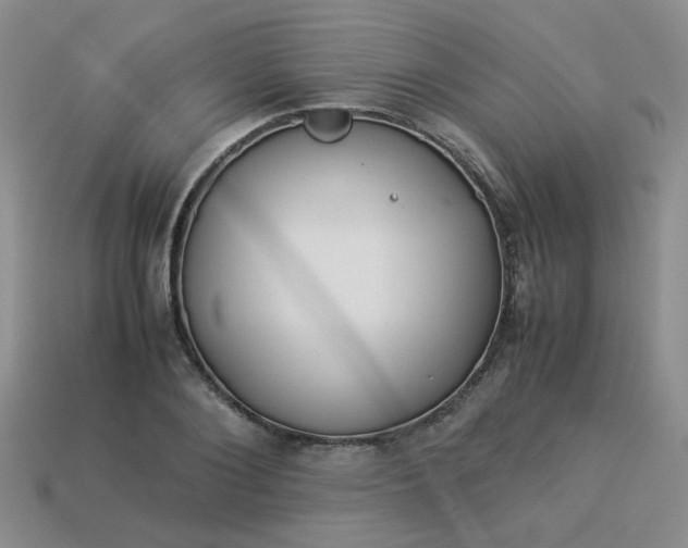 X0000114140884200910221523