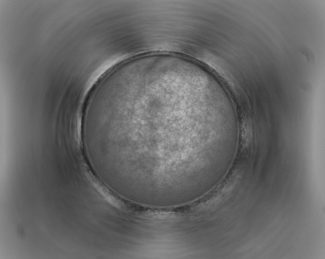 X0000114140886200910221523