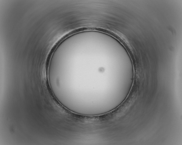 X0000114140887200910221523