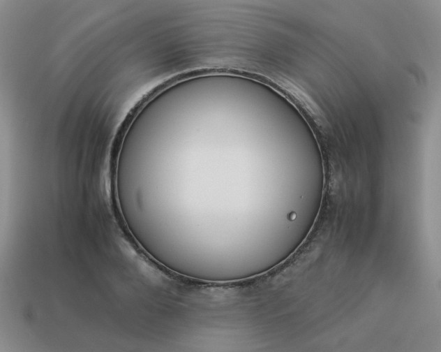 X0000114140888200910221523