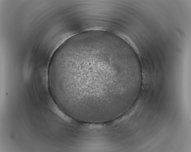 X0000114140890200910221523