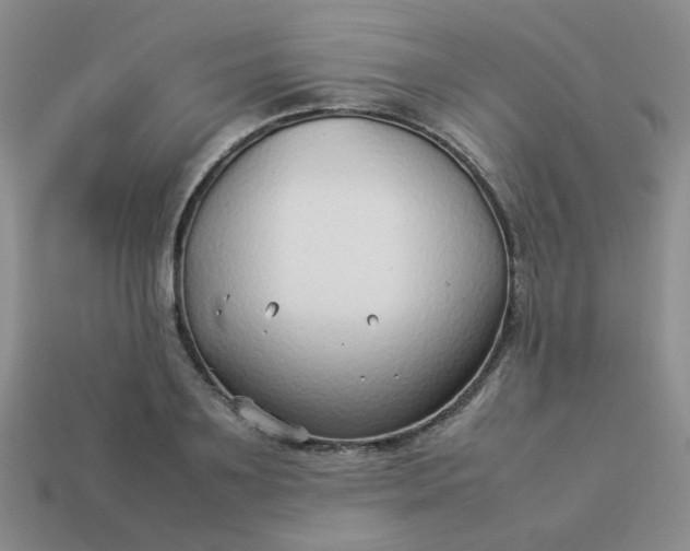 X0000114140891200910221523