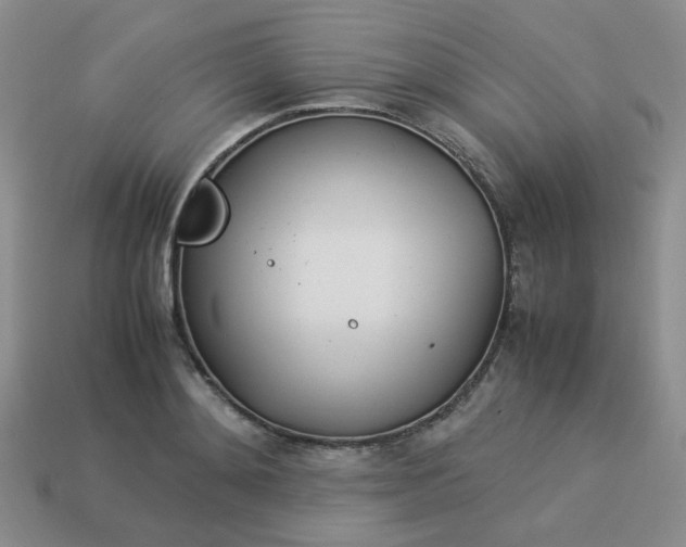 X0000114140892200910221523