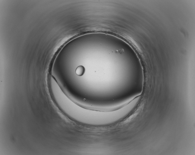 X0000114140893200910221523