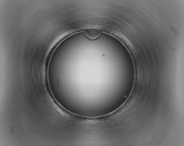 X0000114140894200910221523