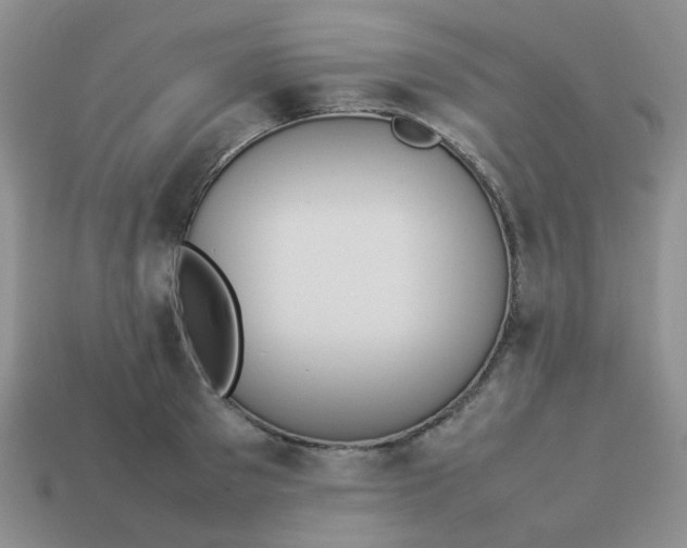 X0000114140897200910221523