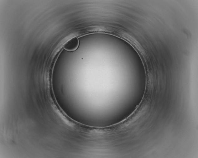 X0000114140898200910221522