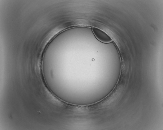 X0000114140901200910221522