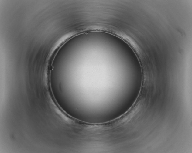 X0000114140902200910221522