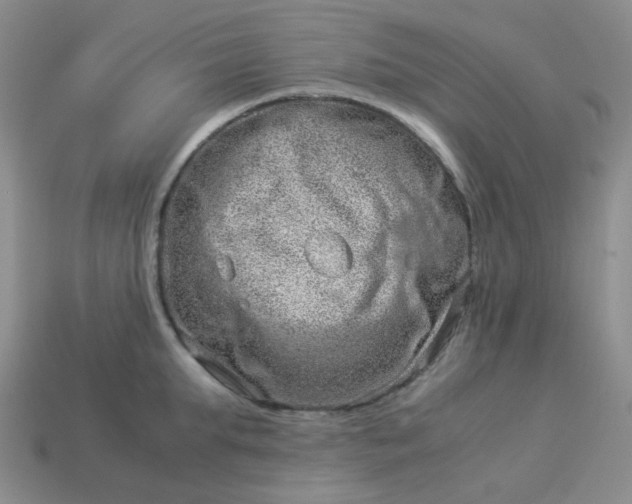 X0000114140903200910221522