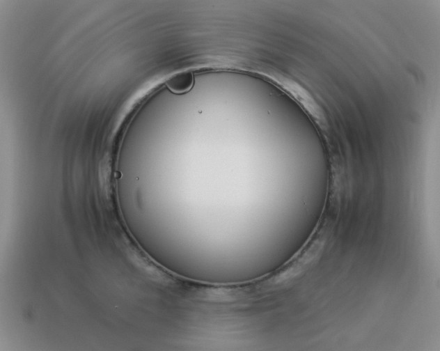 X0000114140904200910221522