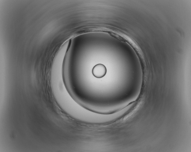 X0000114140905200910221522