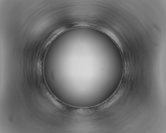 X0000114140906200910221522