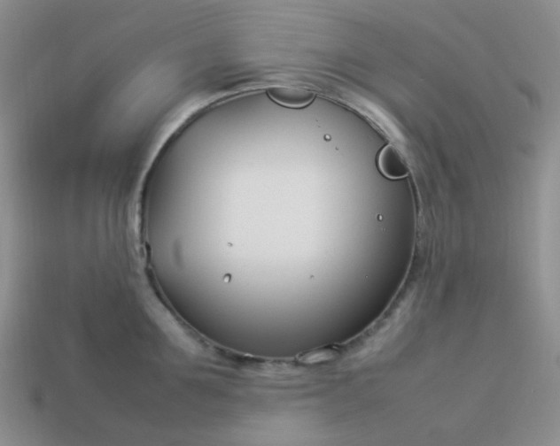 X0000114140907200910221522