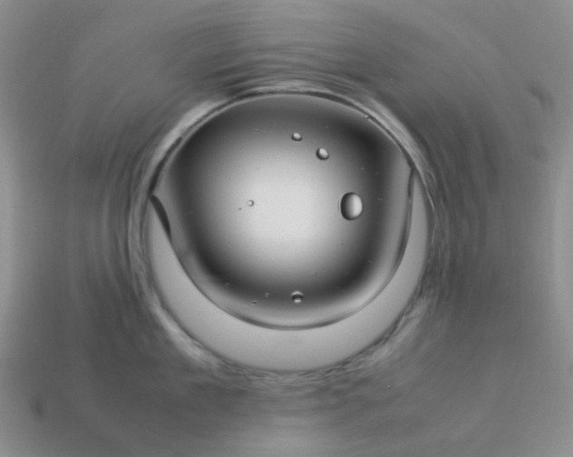 X0000114140909200910221522