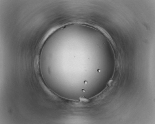 X0000114140911200910221522