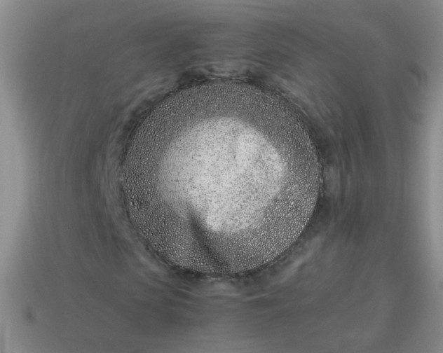 X0000114140913200910221522