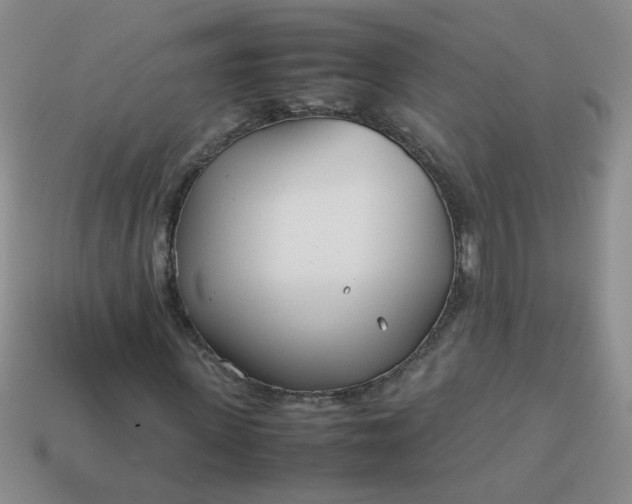 X0000114140915200910221522