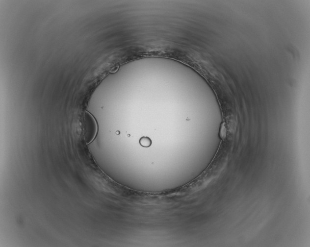 X0000114140916200910221522