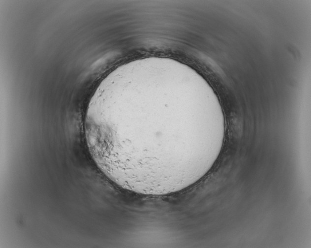 X0000114140918200910221522