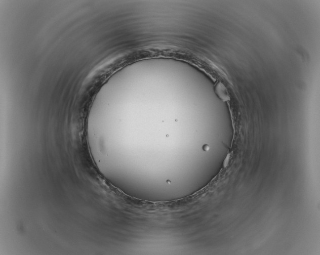 X0000114140920200910221522